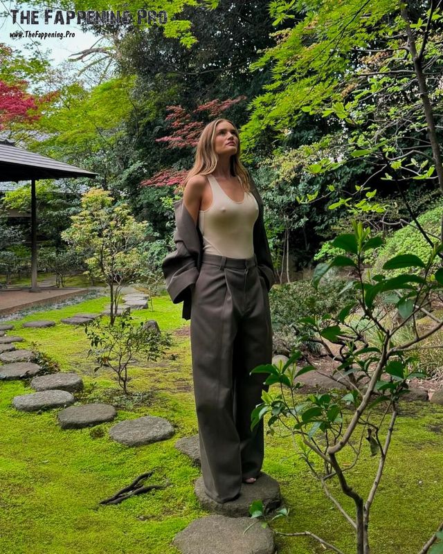 The Pokies Casino Site Review: Uncover a Globe of Entertainment