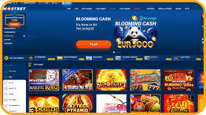 Mostbet in Pakistan: Evaluation of the Popular Bookie